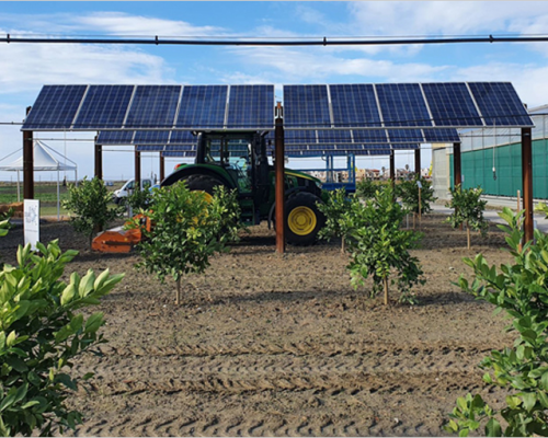 agrovoltaica-agri-pv-symbiosyst-agricultura-enegia-solar